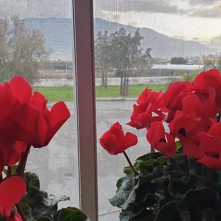 Vesuvio Ruins 3* Pompeya