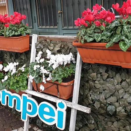 Bed & Breakfast Vesuvio Ruins 3*