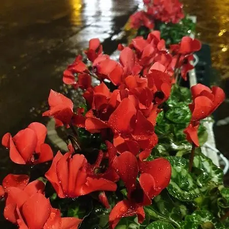 Vesuvio Ruins Bed & Breakfast 3*