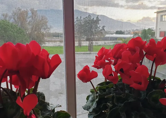 Vesuvio Ruins 3* Pompei